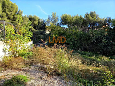 Terrain - 428 m²