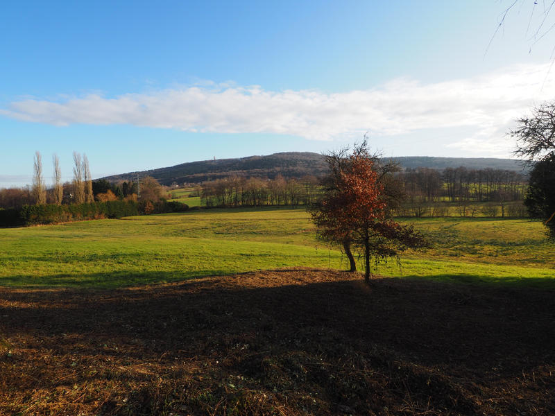 Terrain - 3 666 m²