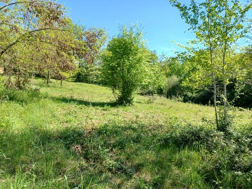 Terrain - 5 500 m²