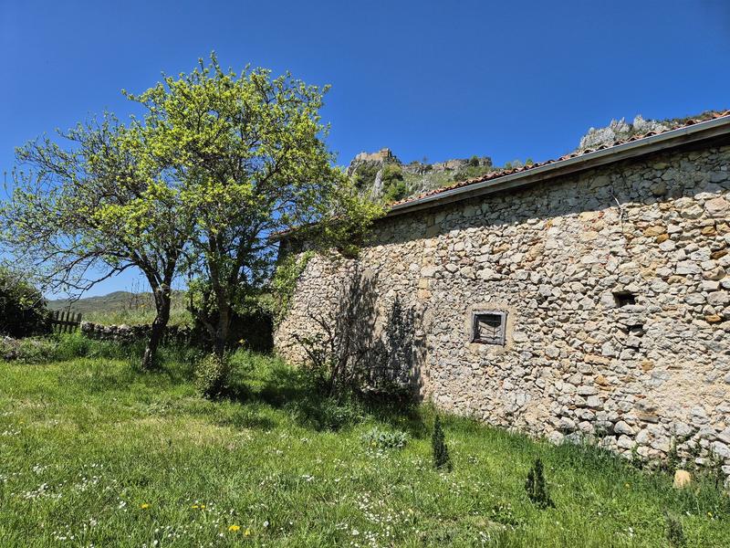 Maison ancienne - 380 m² - 8 pièces