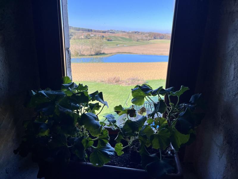 Maison traditionnelle - 290 m² - 7 pièces