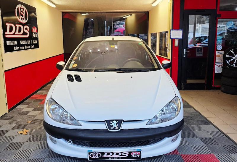 Peugeot 206 Boite Auto Ct Ok Distri Vidange Neuf