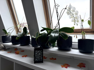 Appartement - 78 m² - 3 pièces