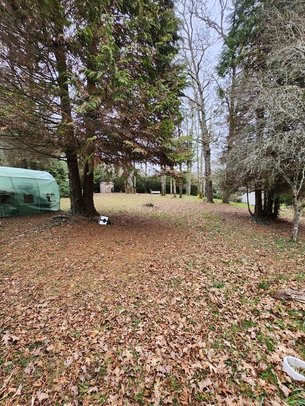 Maison - 38 m² - 2 pièces