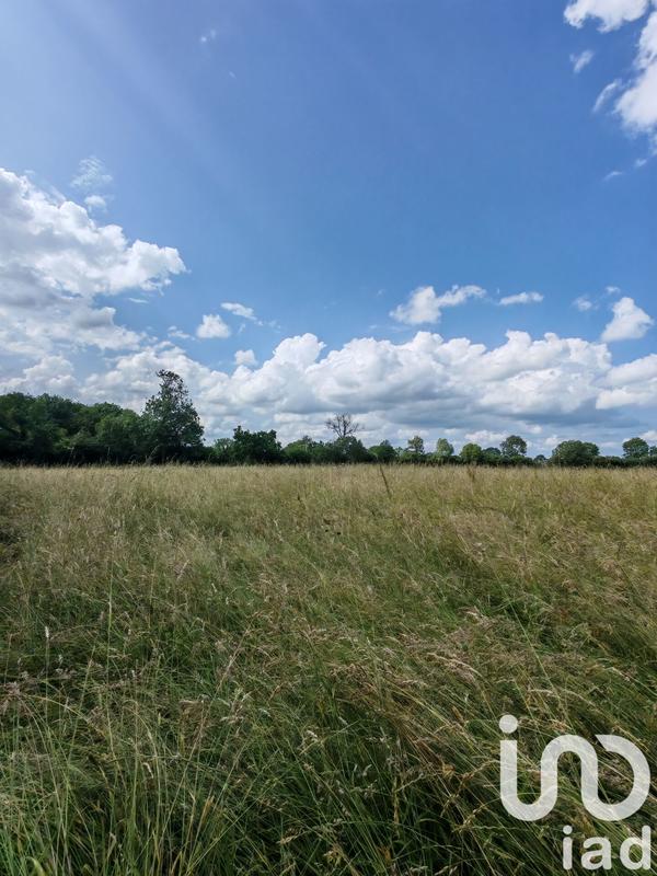 Terrain - 31 982 m²