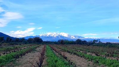 Terrain agricole - 2 090 m²