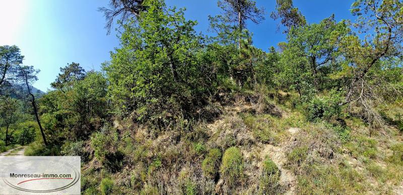 Terrain inconstructible - 1 763 m²