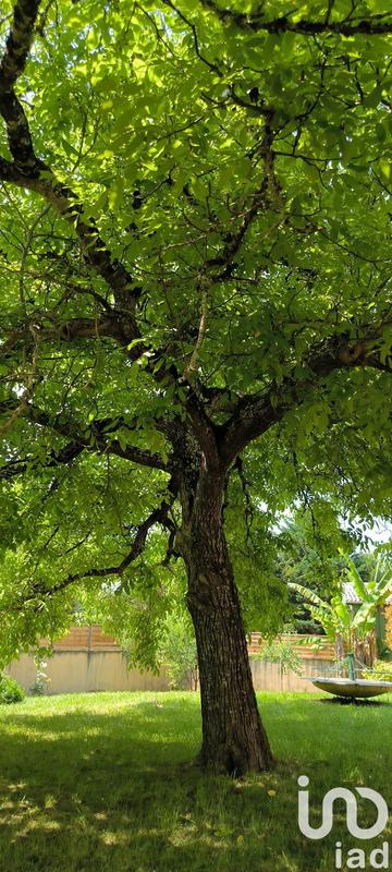 Maison - 80 m² - 3 pièces