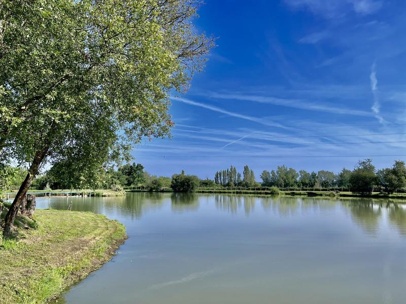 Appartement - 279 m² - 14 pièces