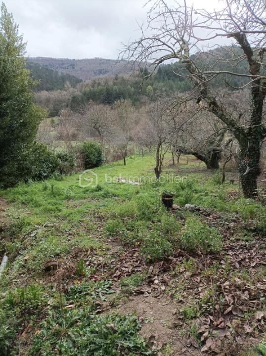 Maison en pierre - 100 m² - 4 pièces