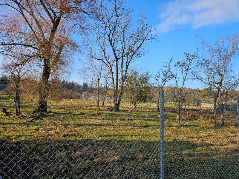 Terrain - 12 593 m²