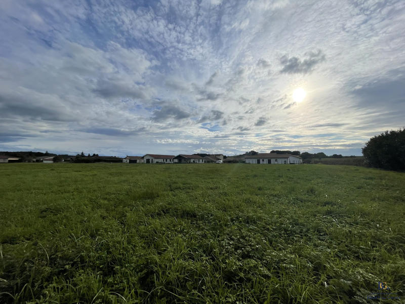 Terrain - 11 654 m²