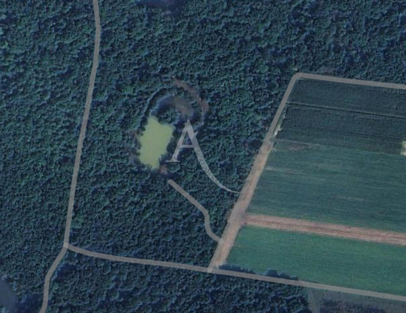 Terrain - 57 980 m²