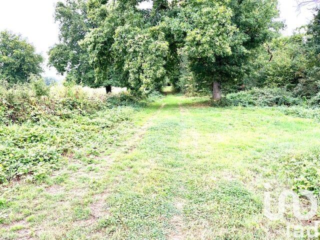 Terrain - 17 696 m²