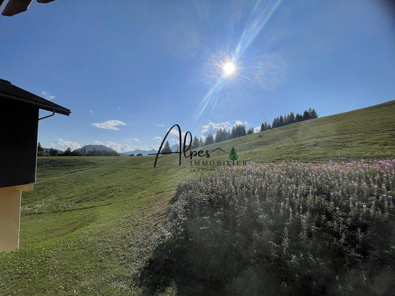 Appartement - 17 m² - 1 pièce