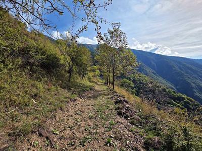 Maison - 80 m² - 3 pièces