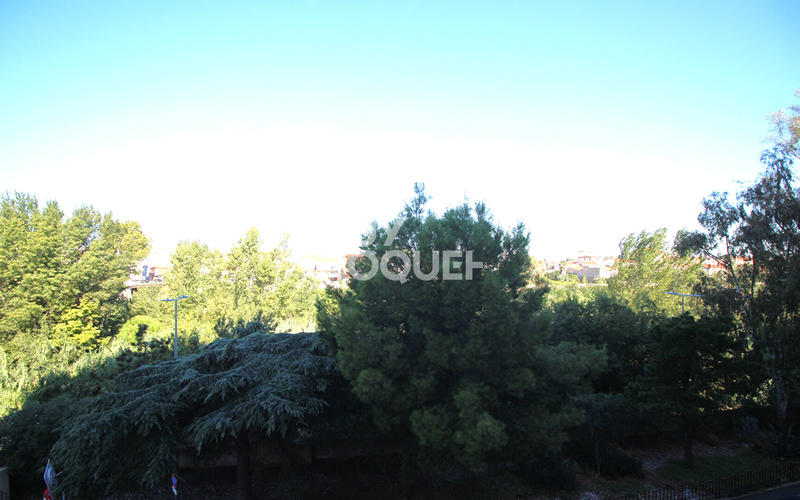 Appartement - 34 m² - 1 pièce