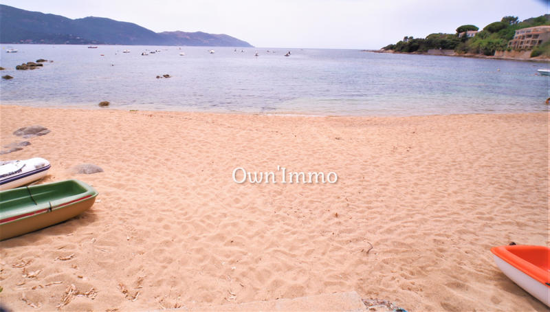 Appartement - 31 m² - 1 pièce