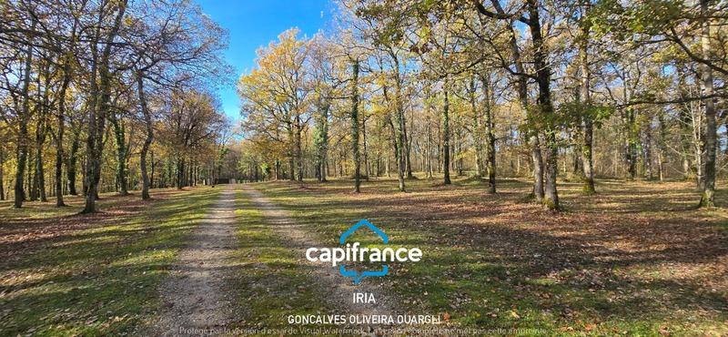 Propriété - 190 m² - 6 pièces