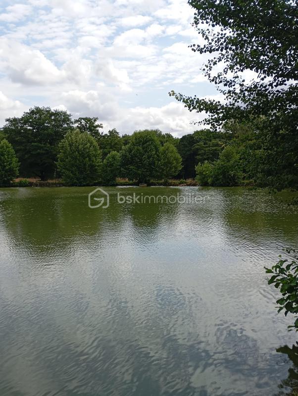 Terrain de loisirs - 18 650 m²