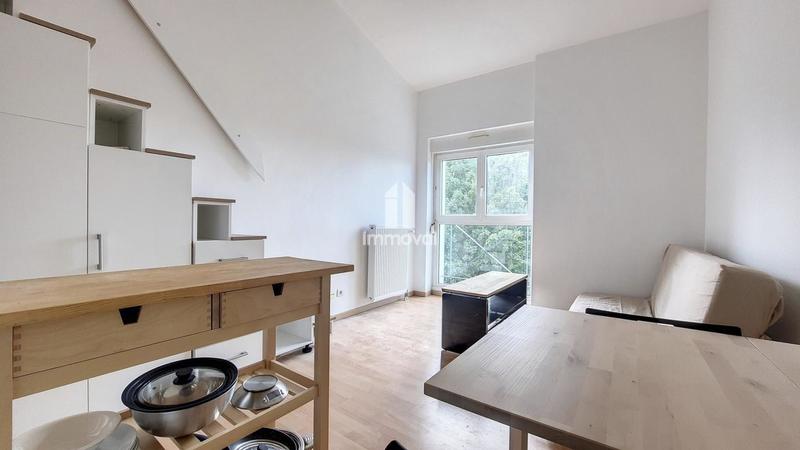 Studio - 26 m² - 1 pièce