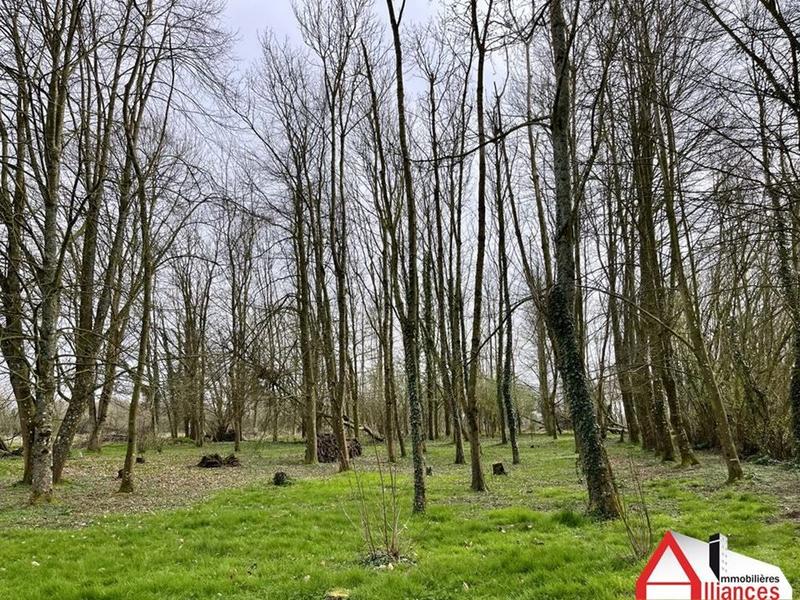 Maison - 229 m² - 8 pièces