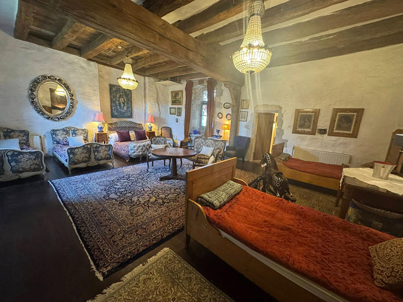 Château - 197 m² - 11 pièces