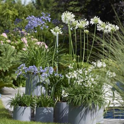 Maison - 124 m² - 5 pièces