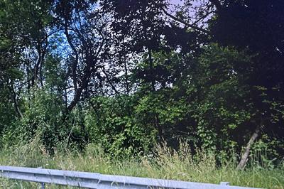 Terrain de loisirs - 79 100 m²