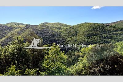 Propriété - 390 m² - 6 pièces