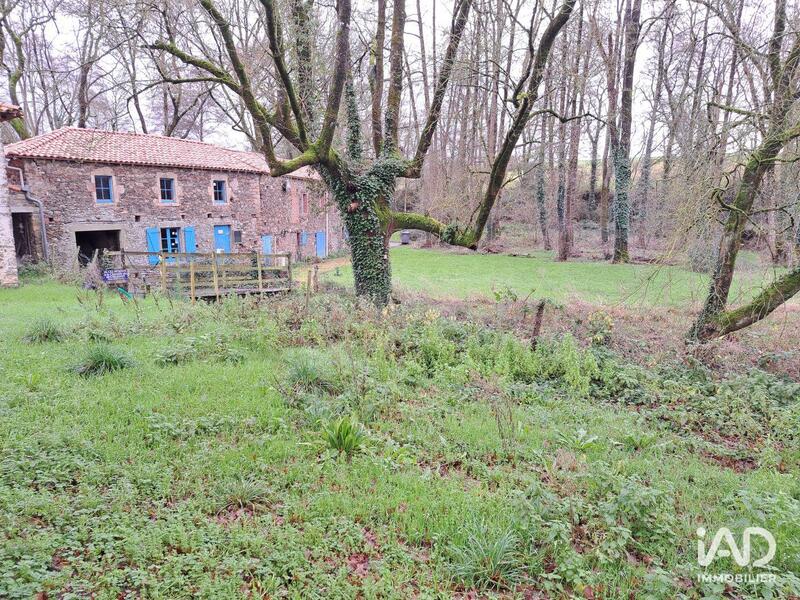 Local commercial - 248 m²