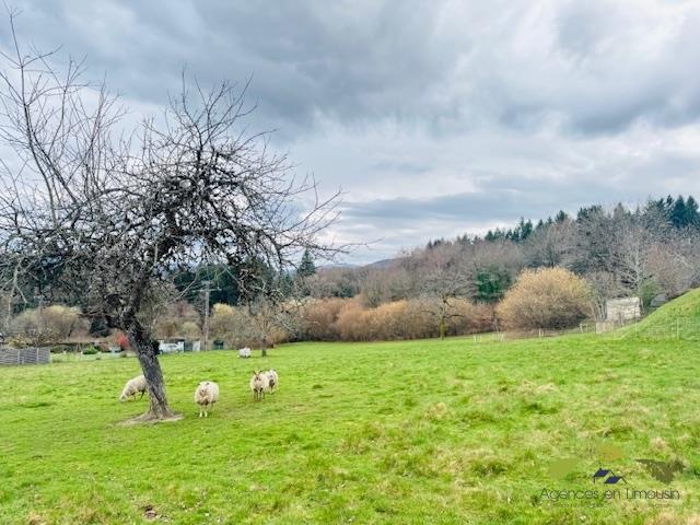 Terrain constructible - 4 954 m²