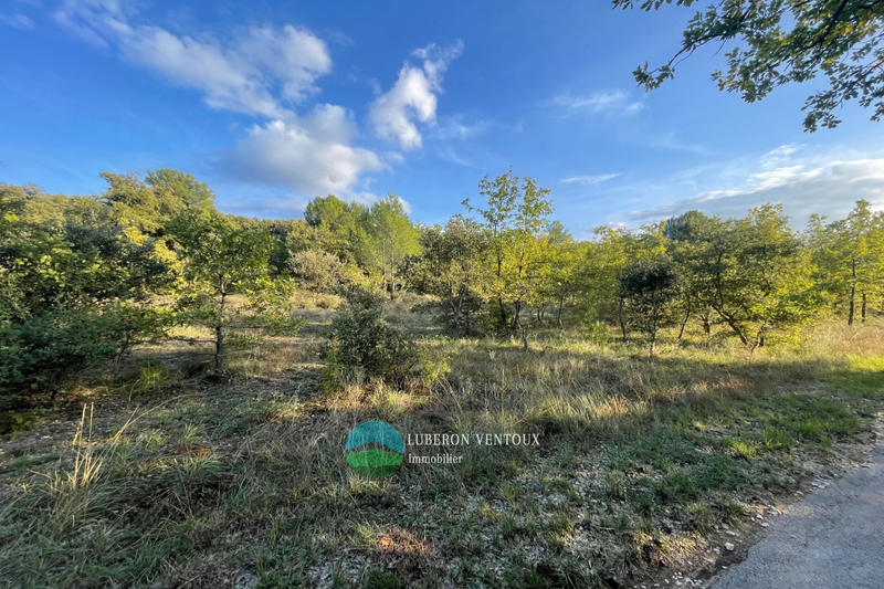 Terrain agricole - 7 600 m²