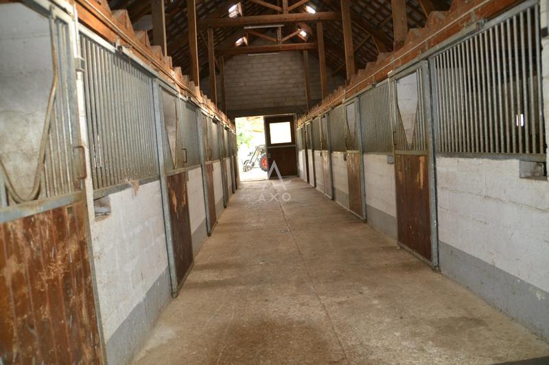 Haras - 240 m² - 5 pièces