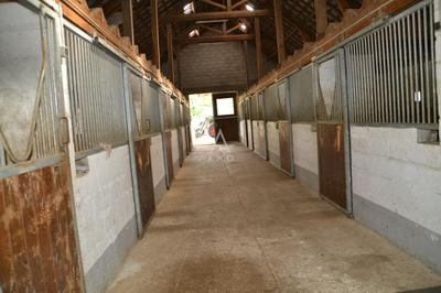 Haras - 240 m² - 5 pièces