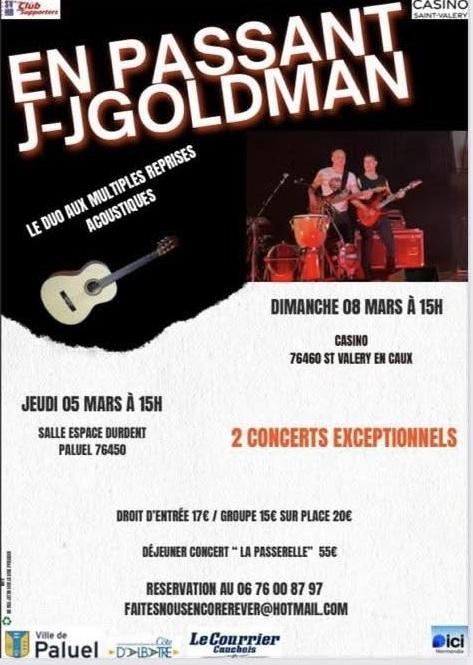 Concert "en passant - Jj Goldman"
