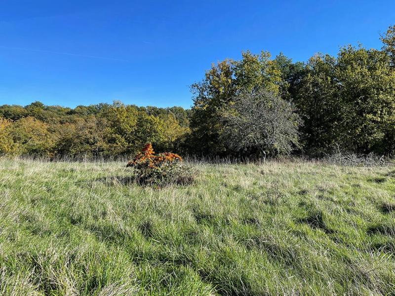 Terrain constructible - 3 039 m²