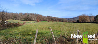 Terrain constructible - 3 880 m²