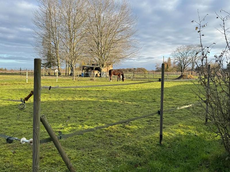 Maison - 205 m² - 6 pièces