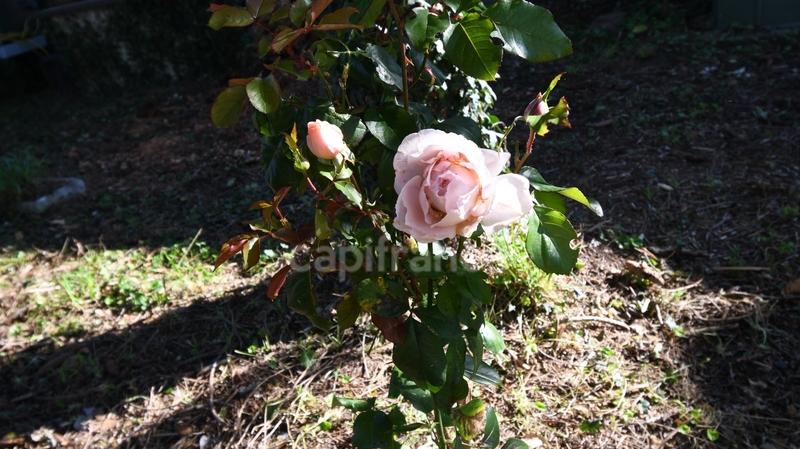 Maison - 109 m² - 4 pièces