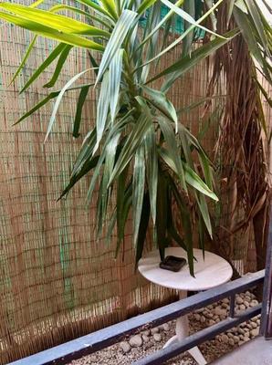 Studio - 17 m² - 2 pièces