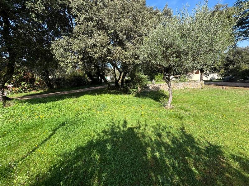 Terrain constructible - 963 m²