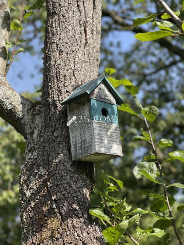 Propriété - 233 m² - 9 pièces