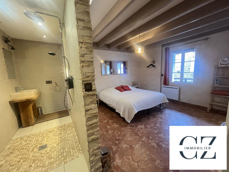 Maison ancienne - 500 m² - 15 pièces