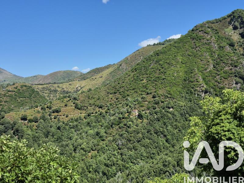 Terrain agricole - 38 700 m²