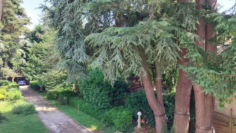 Maison - 230 m² - 7 pièces