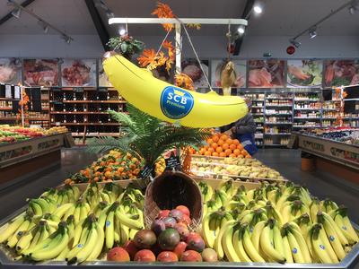 Maison Montarnal Primeurs