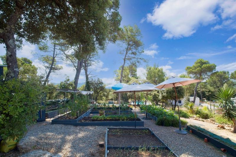 Viager - Maison - 110 m² - 4 pièces