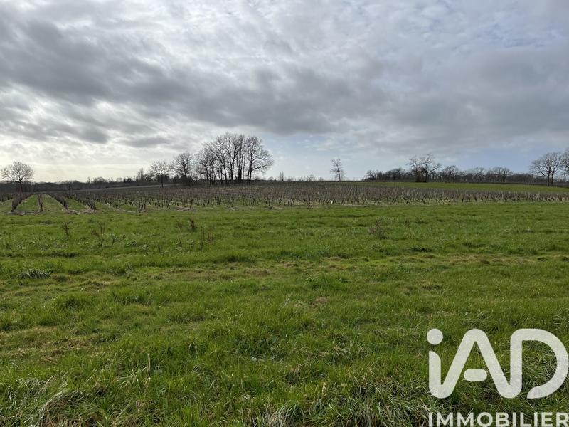 Terrain agricole - 132 080 m²