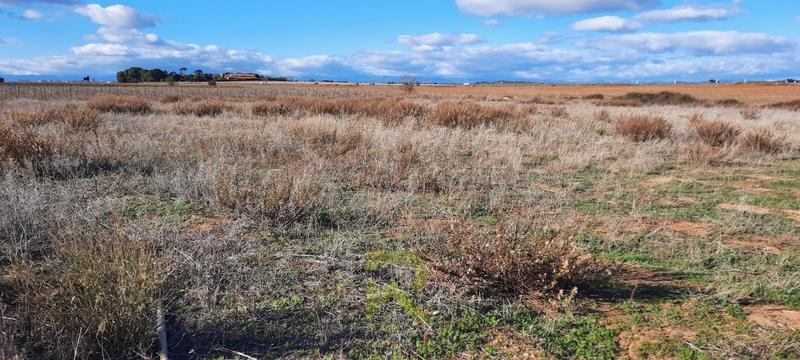 Terrain agricole - 20 270 m²